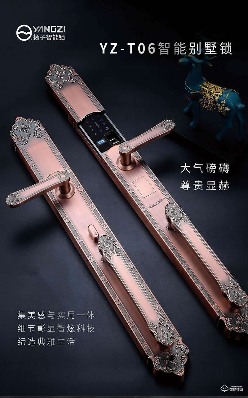 揚子智能鎖 T06豪華別墅式智能鎖