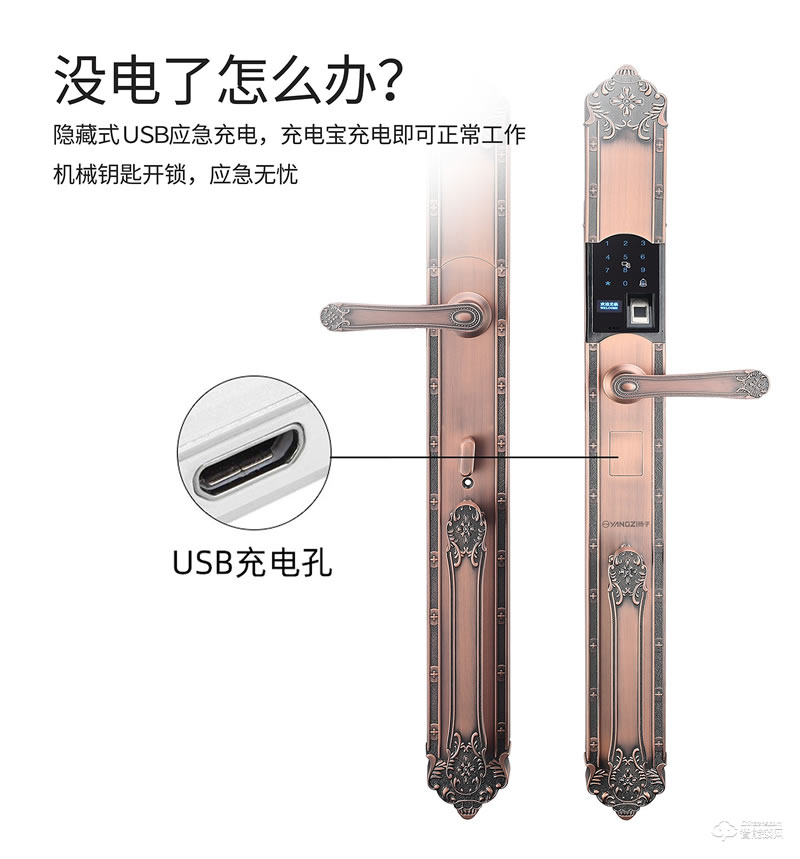 揚子智能鎖 T06豪華別墅式智能鎖