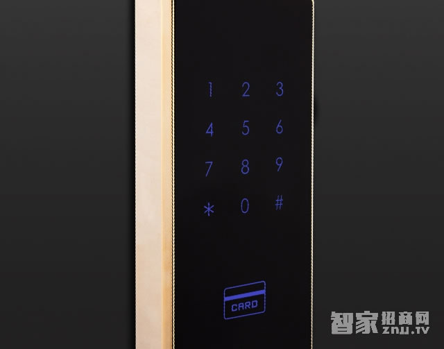 voc防盜門(mén)指紋T551智能鎖 五種開(kāi)鎖方式