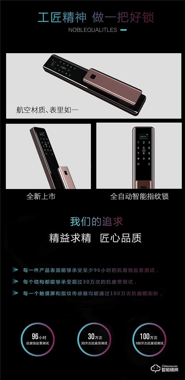 揚子智能鎖 Q8家用防盜門推拉式智能門鎖