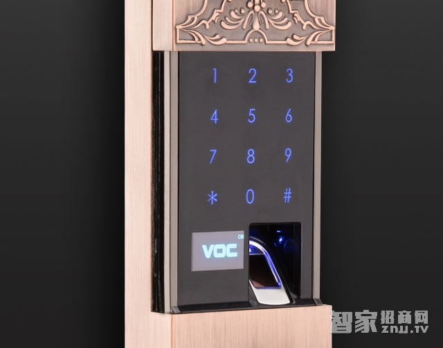 voc奢華貴族系列 LS79智能密碼指紋鎖