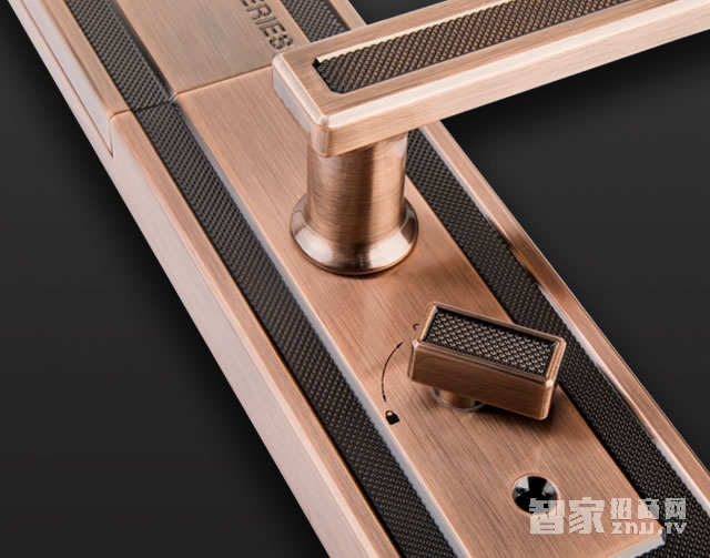 voc智能密碼鎖 F9指紋家用電子門鎖