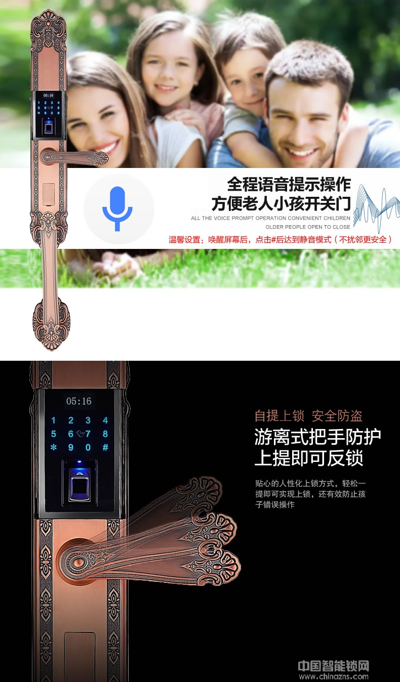 三環(huán)指紋鎖 歐式復(fù)古別墅大門密碼鎖 雙開門電子鎖