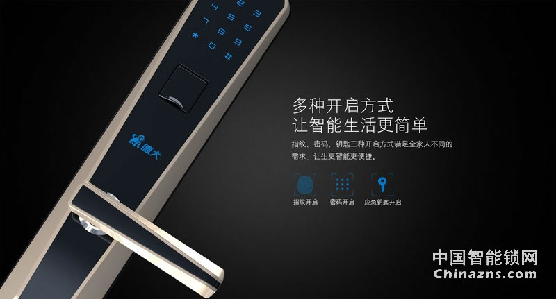 德犬簡歐指紋密碼鎖DL0003 家用辦公室防盜門木門指紋鎖