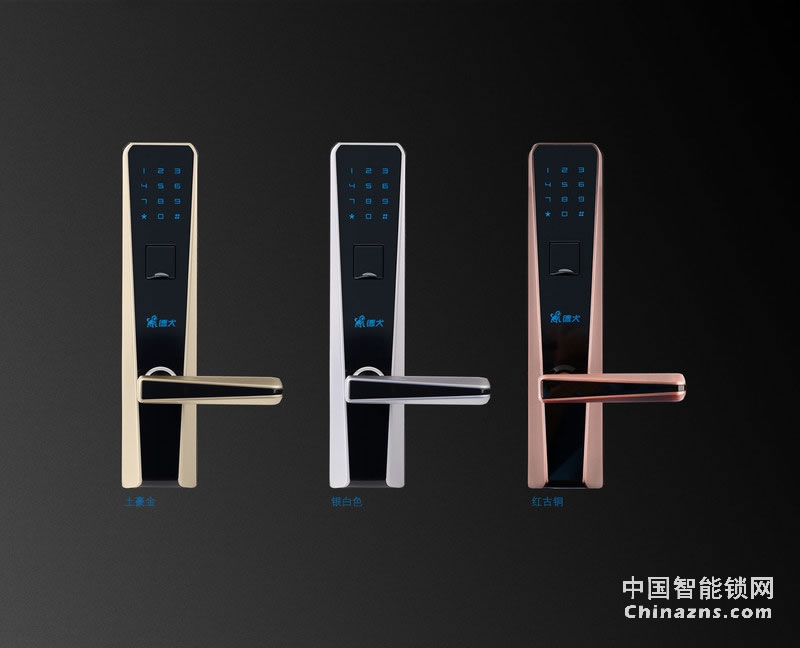 德犬簡歐指紋密碼鎖DL0003 家用辦公室防盜門木門指紋鎖