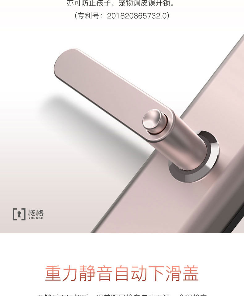 楊格指紋鎖 家用防盜門指紋鎖密碼鎖刷卡鎖