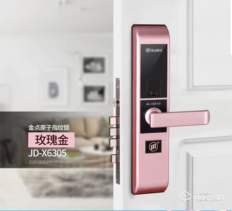 金點(diǎn)原子指紋鎖 智能密碼指紋鎖磁卡感應(yīng)鎖