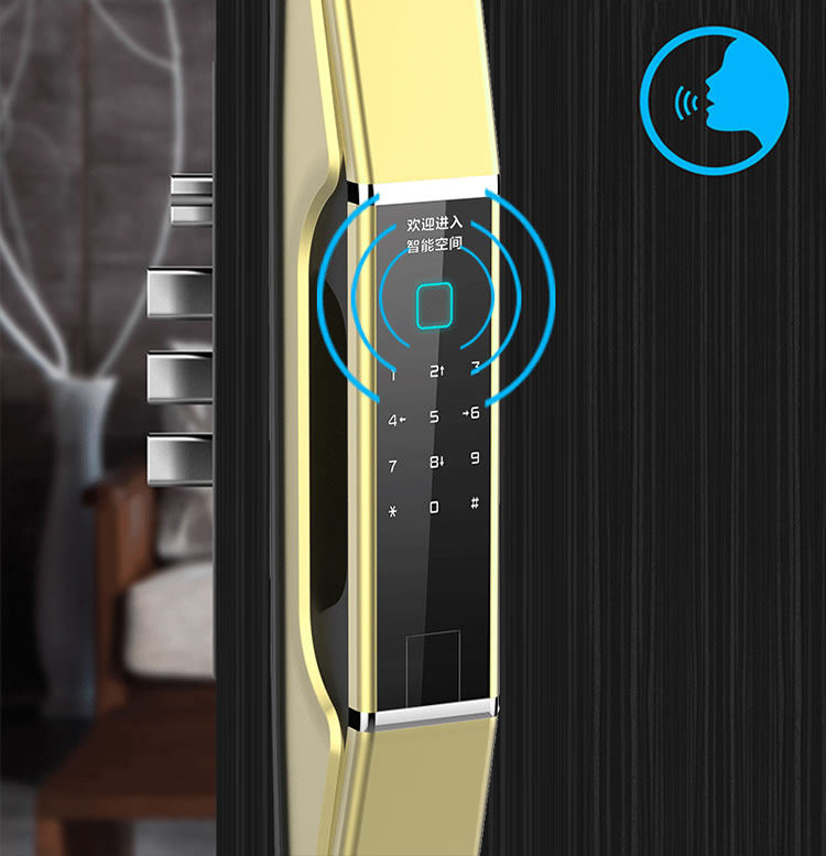 皇家金盾智能鎖 Q1家用智能門鎖推拉式開鎖