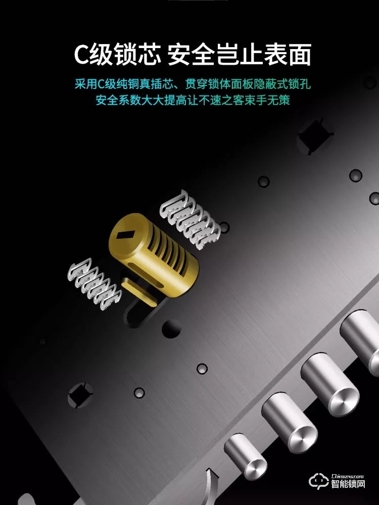 羅曼斯智能鎖 DD5全自動智能鎖防盜門指紋鎖