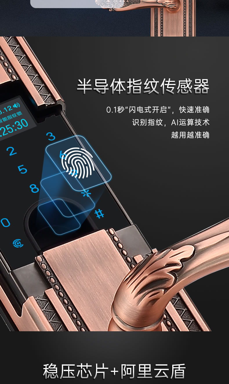 黑龍智能鎖 801豪華別墅防盜門電子鎖指紋鎖