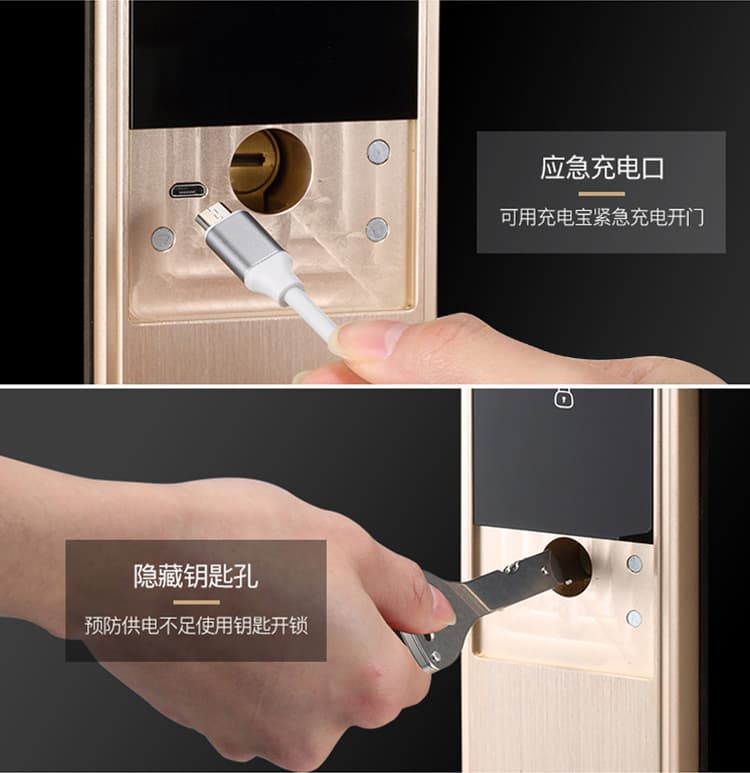 德犬智能鎖 L2全自動(dòng)家用防盜門(mén)指紋密碼鎖