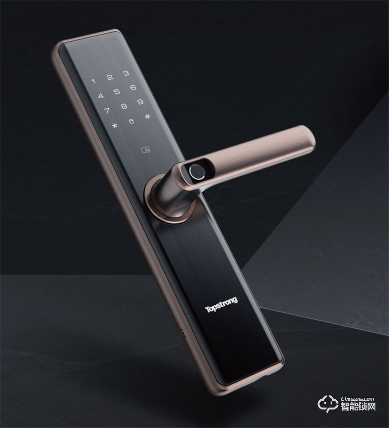 頂固安全智能鎖W2a 半導(dǎo)體指紋傳感器