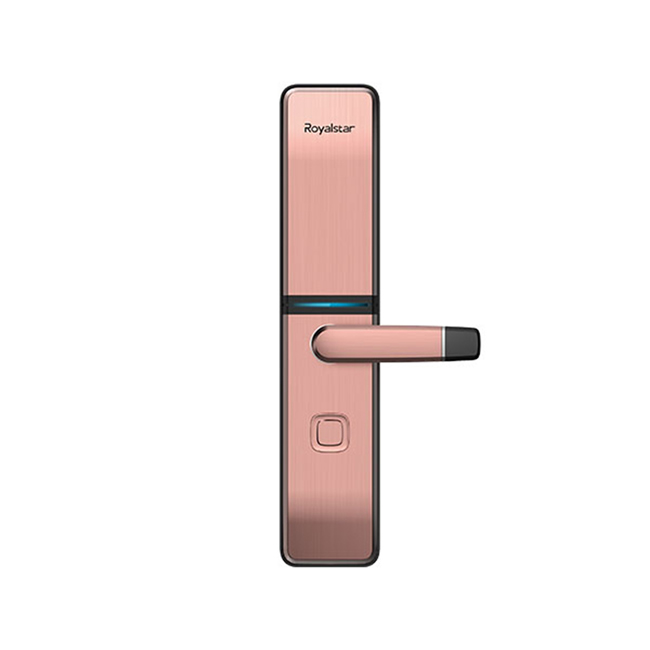 榮事達智能鎖 RSD-808T滑蓋防盜門電子密碼鎖