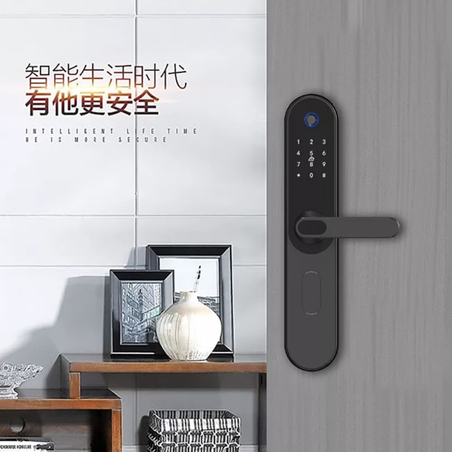 威薩智能鎖 L1藍牙密碼指紋鎖