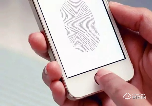 單看指紋識別技術，典匠D5智能門鎖為何如此出色？