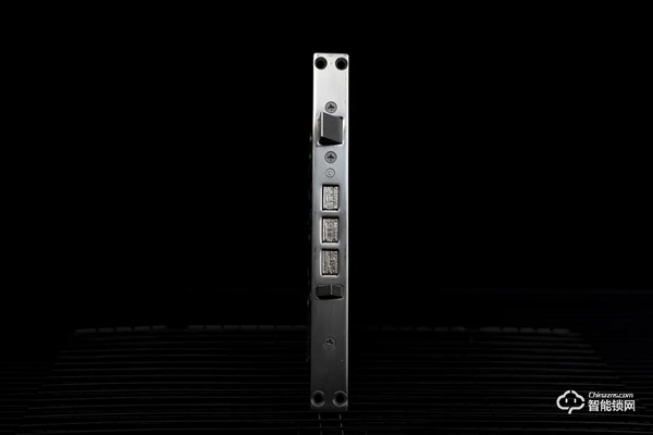 德施曼麒麟R8人臉識別智能鎖靜態體驗