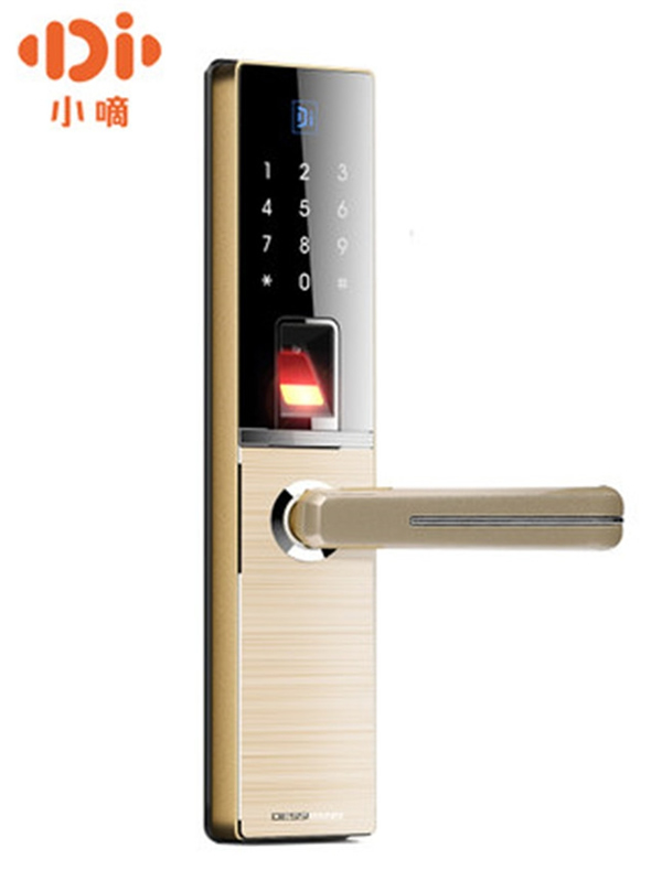 德施曼智能鎖多少錢_德施曼智能鎖特點(diǎn)介紹