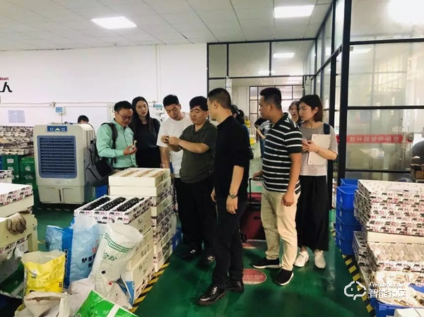 前置離合、中置離合與后置離合有何異同——中國建博葵花獎考察團對話福樂門陳云