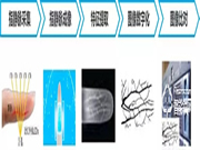 什么是指靜脈識別技術？