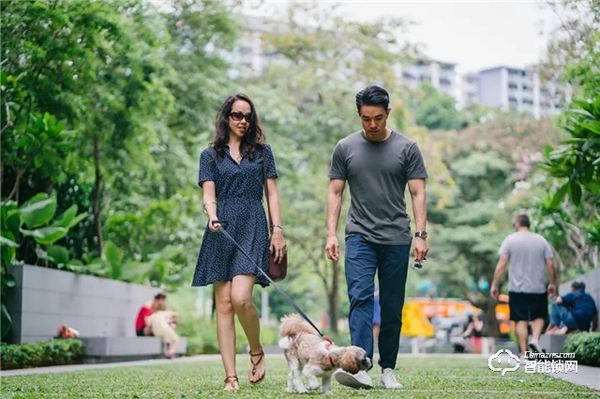 預防寵物走丟方式千千萬，飛利浦智能鎖，讓寵物在家更安全