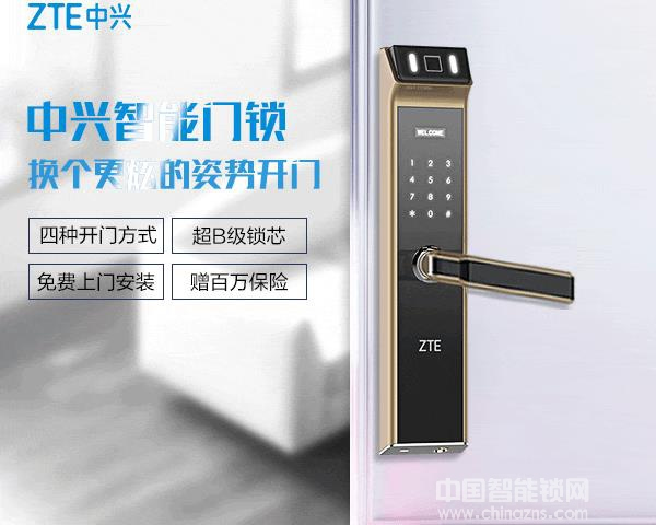 中興智能門鎖價格是多少錢一個？數據表有沒有