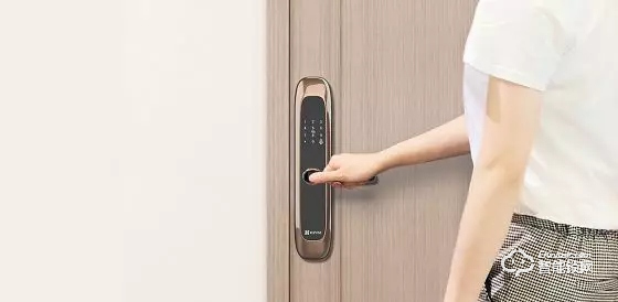 “單身經濟”勢頭強勁，智能家居更受年輕人青睞