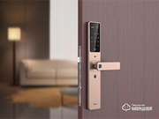 智能鎖產(chǎn)品在線上購買好還是線下購買好