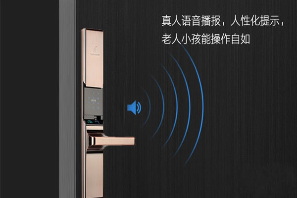 頂吉無(wú)孔智能鎖怎么樣 頂吉無(wú)孔智能鎖怎么保養(yǎng)