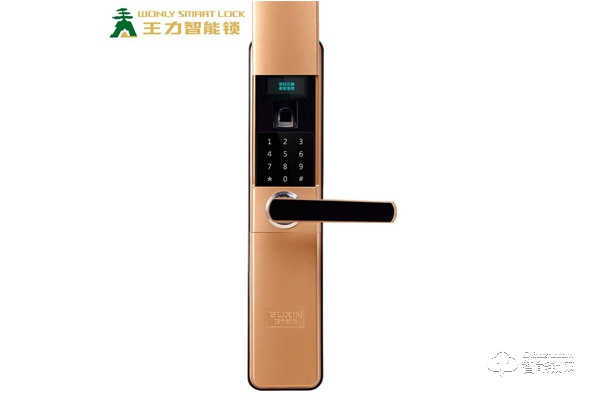 王力固心智能鎖有哪些功能特點