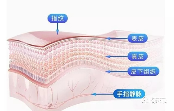 指紋鎖已過時？指靜脈鎖識別率更高更安全