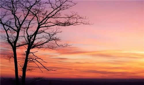 去小米化的云米 能否扛起5GIoT大旗？