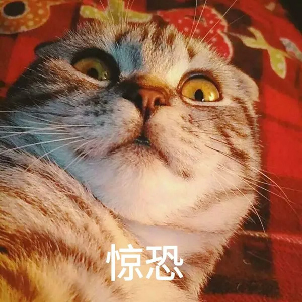 BSPH智能家居：學(xué)會(huì)這一招怎么睡都香！