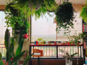 好太太智能家居：不該錯過屬于自己的每一抹風景