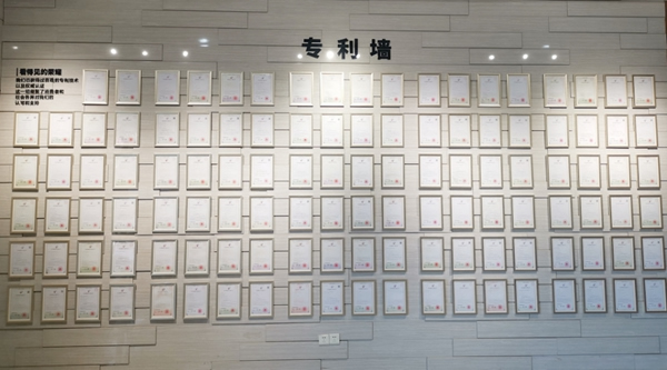 BSPH智能家居以最可貴的品質(zhì)伴您同行 為您保駕護航