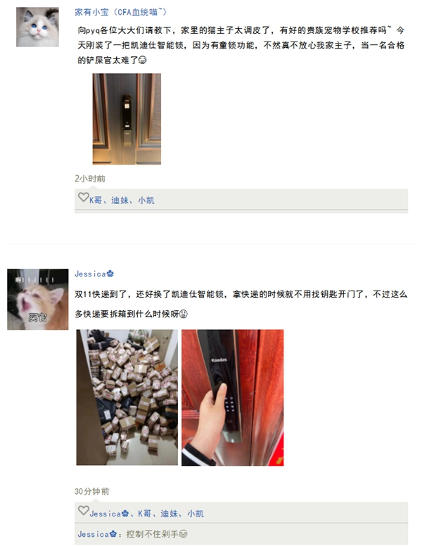 凱迪仕智能鎖：智能鎖界「凡爾賽文學」來了