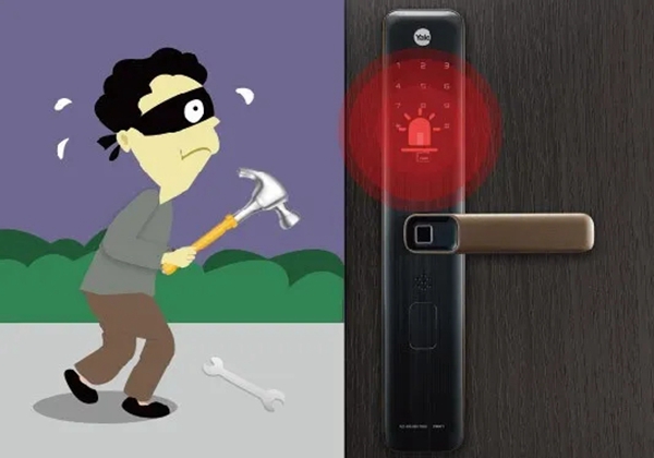 定義純粹，耶魯臻藏品質生活