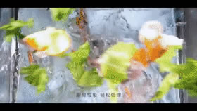 云米全屋互聯網家電：家里裝修最值得買的家電 快來抄作業！