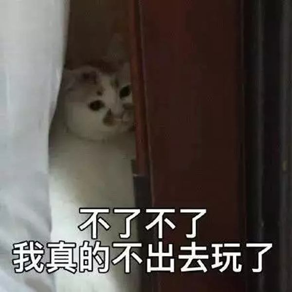 靈靈狗智能鎖：門把手發(fā)現(xiàn)病毒核酸 速看門鎖使用防護指南