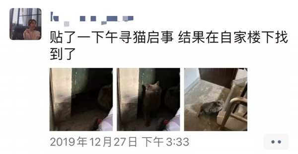 青松沃德：我們的2019年末崩潰情況報(bào)告