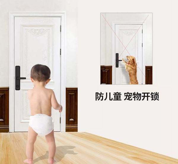 青松沃德：我們的2019年末崩潰情況報(bào)告