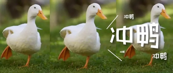 青松沃德：我們的2019年末崩潰情況報(bào)告