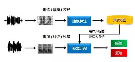 頂吉智能鎖為您解析六種常見的生物識別技術(shù)