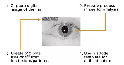 頂吉智能鎖為您解析六種常見的生物識別技術(shù)