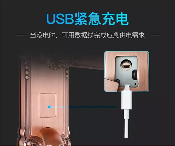 SINGEA 思歌C185智能鎖手自合體 隨心所欲更出眾