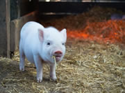 皇迪智能鎖：為客戶提供舒適便捷的智能生活環(huán)境