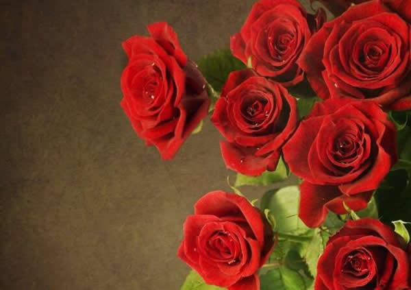 浪漫七夕，送花有些俗了，咱們不如送個指紋鎖