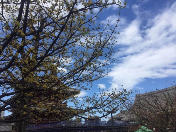 美菱公司2018年度先進(jìn)個(gè)人日本之旅圓滿結(jié)束