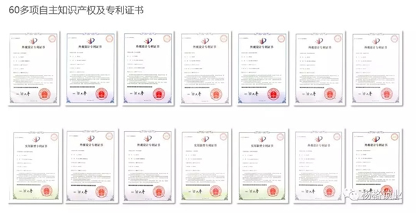 楊格鎖業憑什么在中國智能門鎖中脫穎而出，征服歐洲？