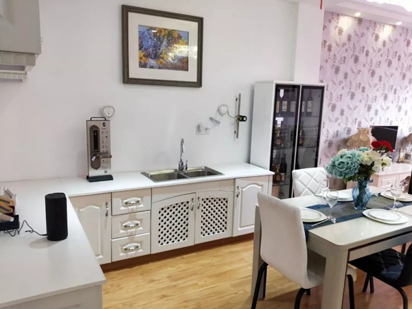 揚子智能家居六安地區代理店舉行開業儀式