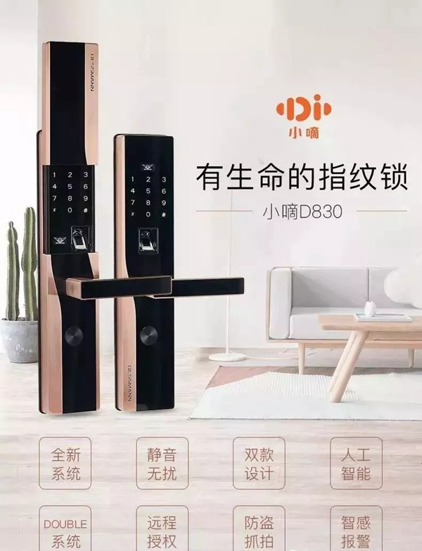 德施曼小嘀云智能鎖讓您的生活更方便，更安全